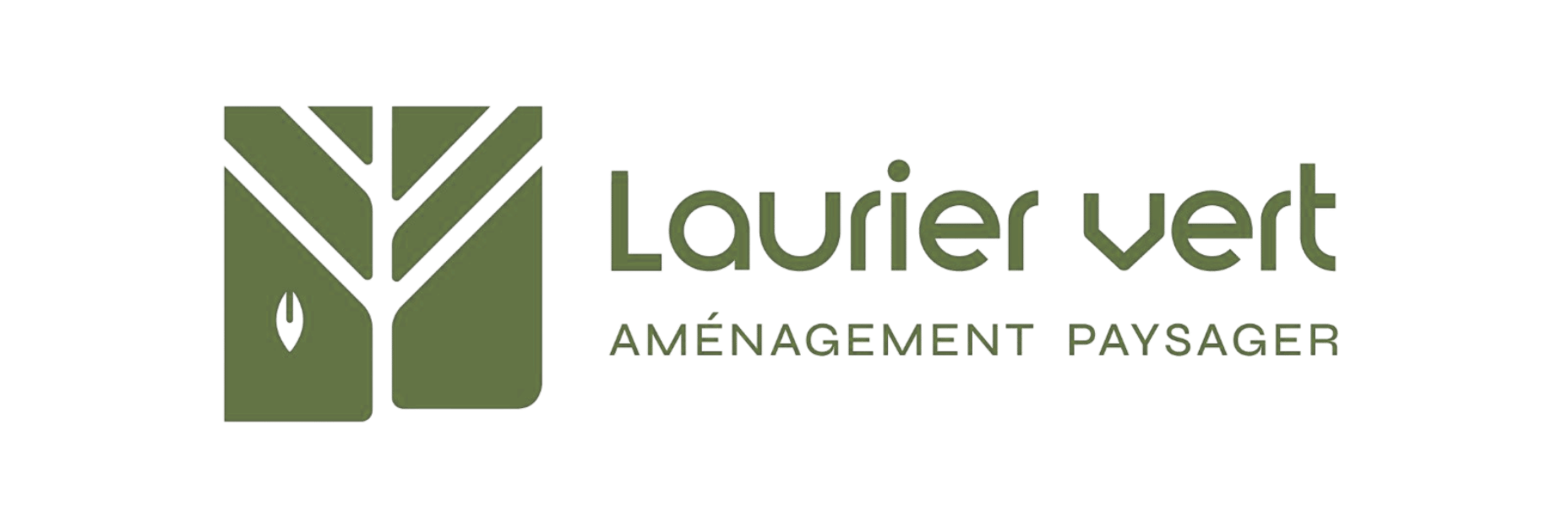 Laurier vert