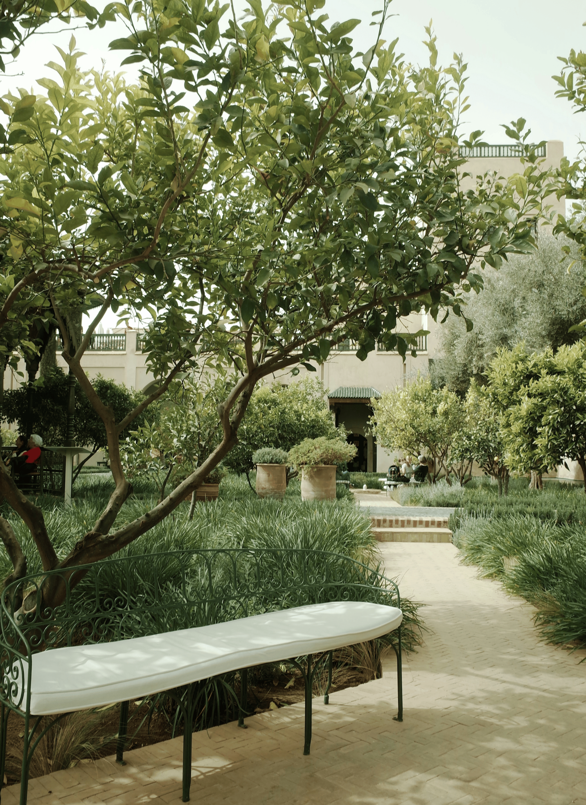 Untitled design (11)